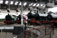Steam Loco line up at Barrowhill