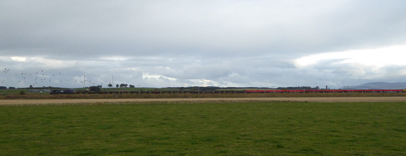 66426 at Float