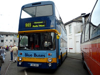 Vintage Buses