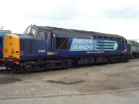37603 at Crewe Heritage Centre