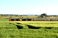 20132+20118 at Park Farm