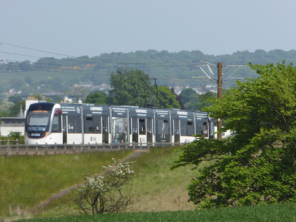 273 at Ingliston Park and Ride
