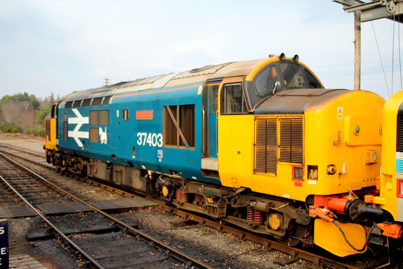 37403 at Boat of Garten