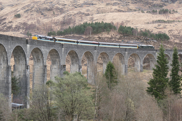 37667 tnt 37409 at Genfinnan Viaduct