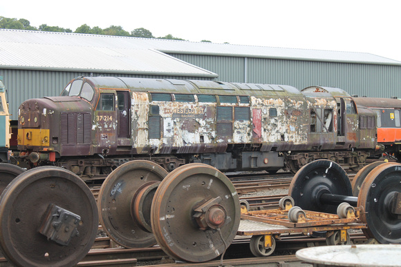 37214 at Bo'ness