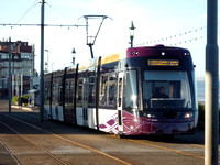 Flexity 005