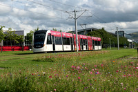 Edinburgh Trams July 2024