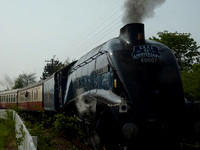 60007 at Boness